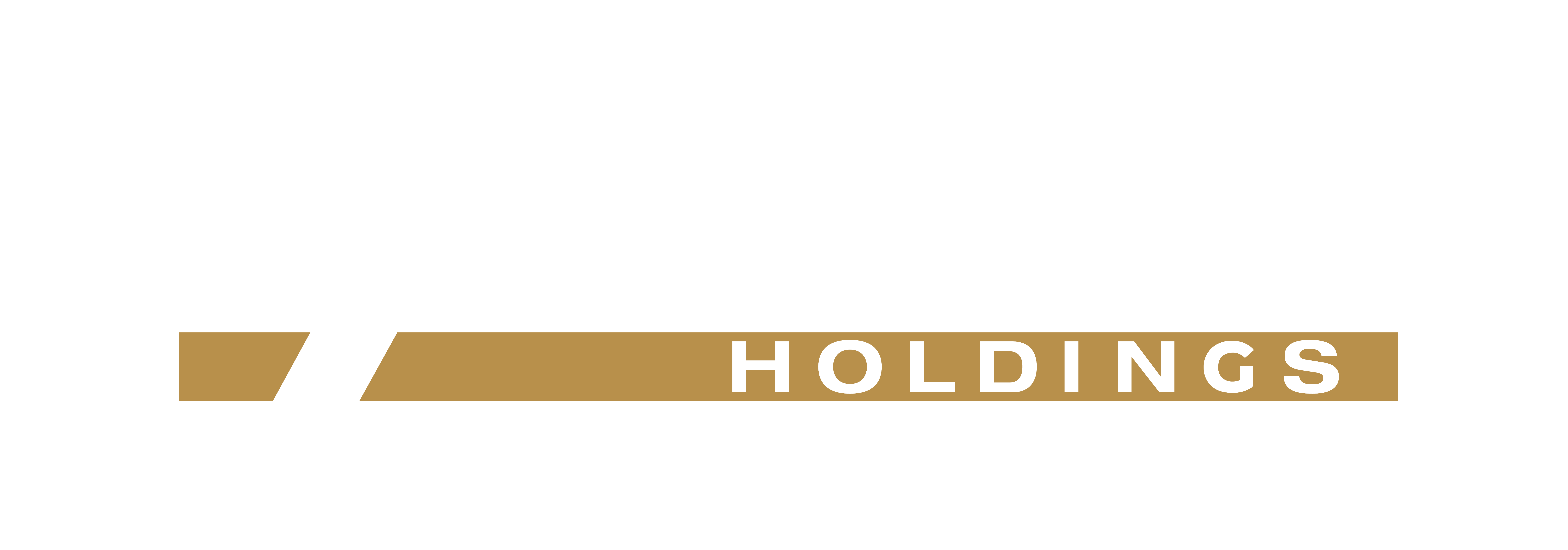 Patriot Holdings